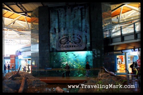 Pretty Fishtank at Vancouver International Airport