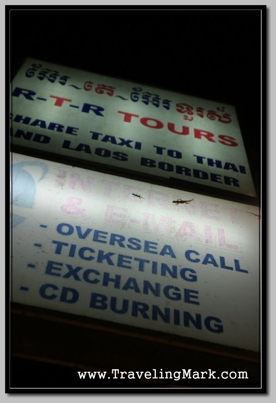 You Can Find Night Lizards All Over Any Illuminated Sign in Cambodia