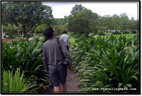 Photo; Tourist Attracted by Loud Shriek Checks Out What Is Making the Noise