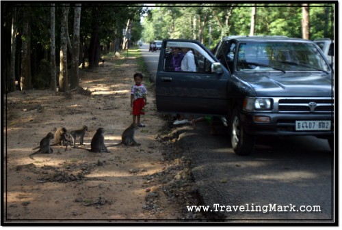 Photo: Stopped Car Diverts Monkeys Attention - Time For Me To Go Photo: Stopped Car Diverts Monkeys Attention - Time For Me To Go
