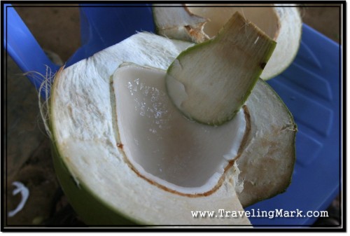 Photo: Coconut Meat Eaten with Improvised Spoon Sliced Off Nut's Skin