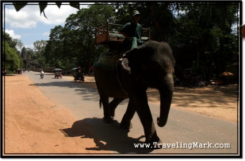 Photo: Elephant Ride at South Gate of Angkor Thom, Leaving Bayon Temple