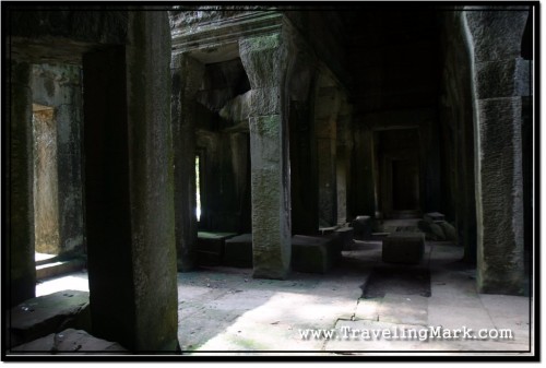 Photo: I Took Refuge from the Sun Inside the Library Which is Vastly in Ruin