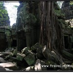 Photo: Ta Prohm, The Collapsed Temple of Angkor