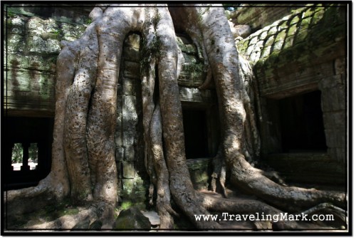 Photo: Famous Blind Door Spot at Ta Prohm, Angkor