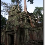 Photo: Ta Prohm, the Mating Place Between Ancient Structures and Huge Trees