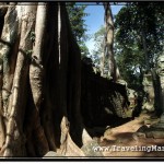 Photo: Tree Roots Growing Over Ta Prohm Stone Wall