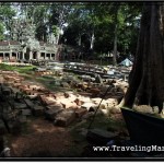 Photo: This Area of Ta Prohm was Off Limits for Restoration