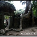 Photo: Ta Prohm Small Gateway Guarded by the Tree Roots