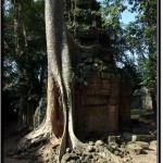 Photo: Ta Prohm Library Damaged Under the Weight of a Tree