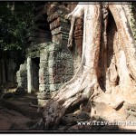 Photo: Tree Roots Controlling Side Entrance to Ta Prohm