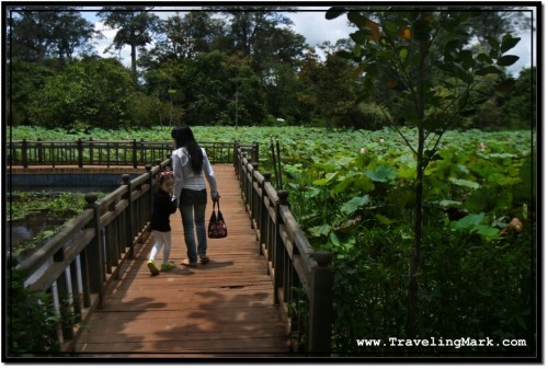 Photo: Ha and Her Daughter on the Way to Banteay Srei Temple During Our Road Trip