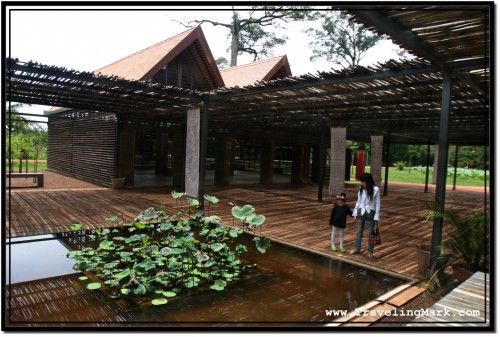 Photo: Admiring Water Flowers at the Banteay Srei Exhibition Hall and Museum