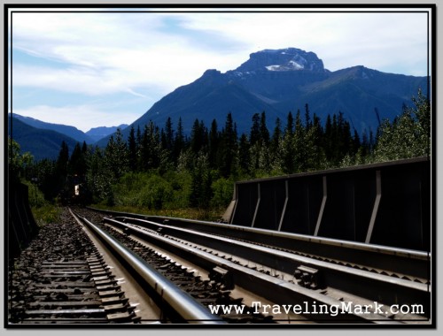 Photo: Justified Misanthropy - Follow the Way of People or the Way of Nature? Photo: Justified Misanthropy - Follow the Way of People or the Way of Nature?