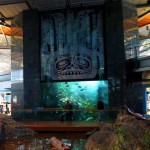 Awesome Giant Fish Tank at the Vancouver International Airport