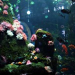 Nice Set Up with Artificial Coral and Lots of Colorful Fish