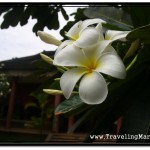 Center for Khmer Studies in Siem Reap