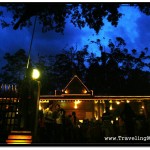 Bats Above Preah Ang Chek Preah Ang Chorm Shrine