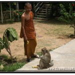 First Monkey Encounter
