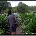 Photo; Tourist Attracted by Loud Shriek Checks Out What Is Making the Noise