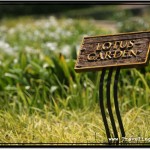 Photo: Signs Informs Visitors About Lotus Flowers in This Section