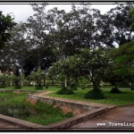 Photo: Little Pond at the Royal independence Gardens is Overgrown with Weed