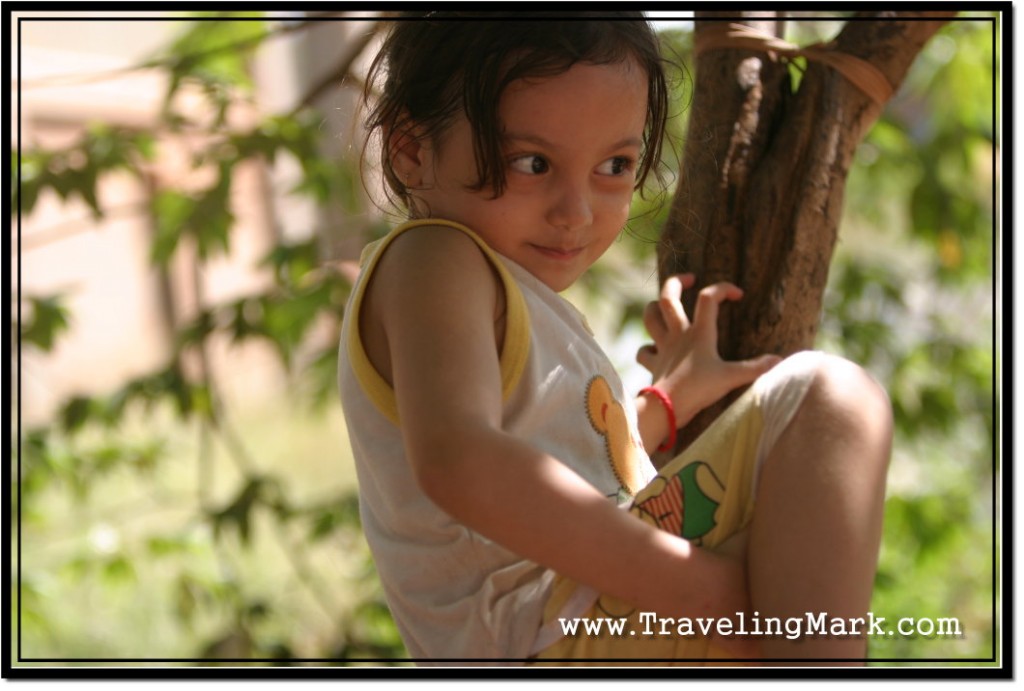 Photo: Four Year Old Girl Climbing Trees