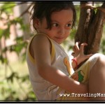 Photo: Four Year Old Girl Climbing Trees