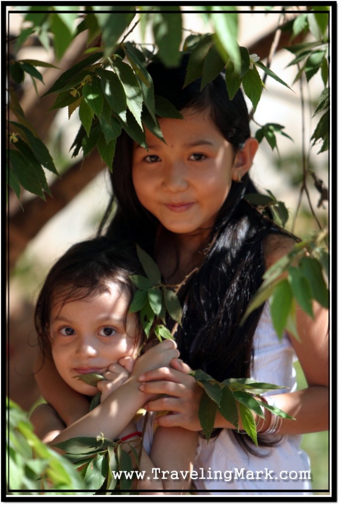 Photo: Hiding Under a Tree to Escape Scorching Cambodian Sun