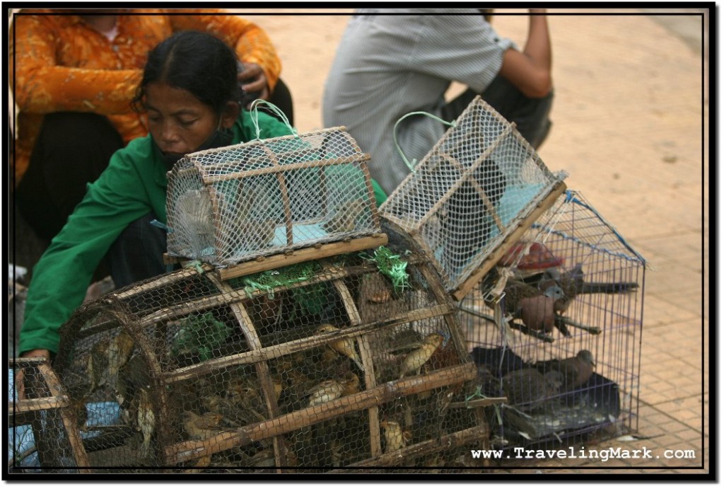 Photo: Street Vendor Selling Live Birds in Siem Reap