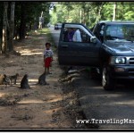 Road to Angkor Wat