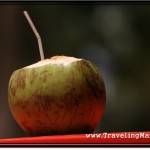 Photo: To Maximize Health Benefits, Drink Coconut Water Fresh with a Straw Right After Opening