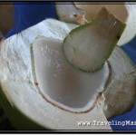 Photo: Girls from the Stall Introduced Me to the Cambodian Way of Eating Coconut Meat