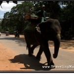 Photo: Elephant Ride at South Gate of Angkor Thom, Leaving Bayon Temple