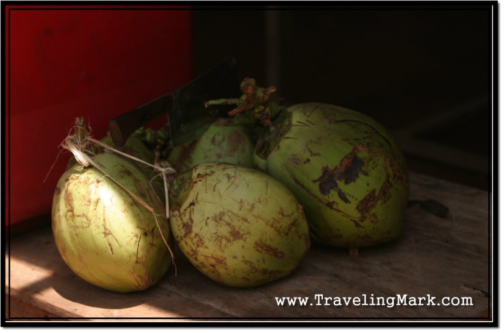 Photo: Fresh Harvest of Young Coconuts - Source of Coconut Water in Cambodia