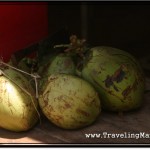 Photo: Fresh Harvest of Young Coconuts - Source of Coconut Water in Cambodia