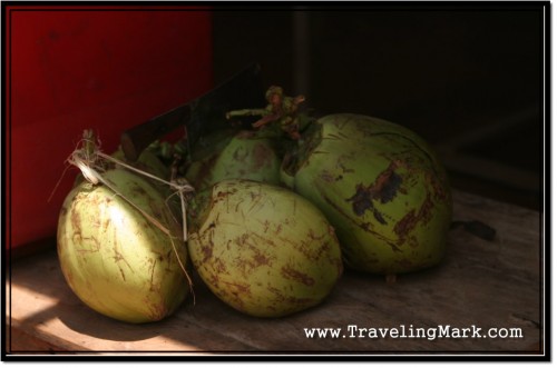 Photo: Fresh Harvest of Young Coconuts - Source of Coconut Water in Cambodia