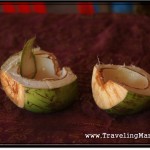 Coconut Meat