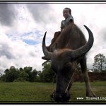 Photo: Needless to Say, I Had To Give This Boy Money for Posing for a Picture