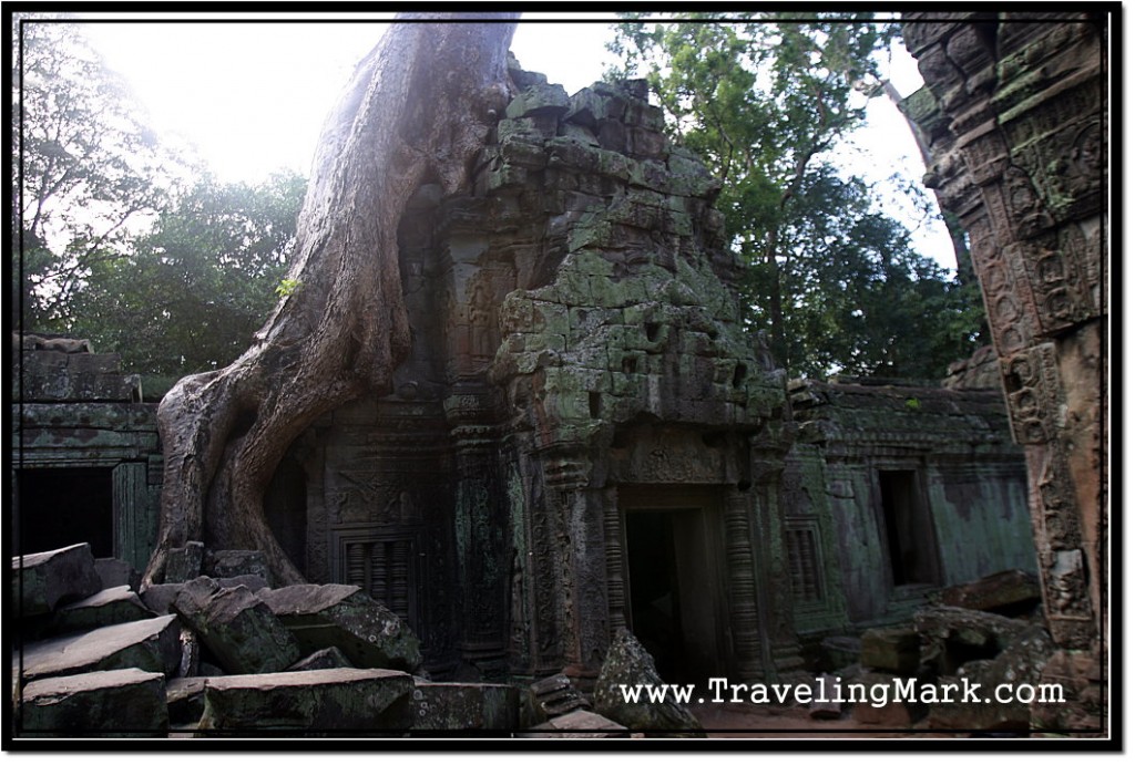 Photo: Ta Prohm Temple, Where Tomb Rider Starring Angelina Jolie was Filmed