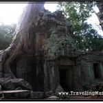 Photo: Ta Prohm Temple, Where Tomb Rider Starring Angelina Jolie was Filmed