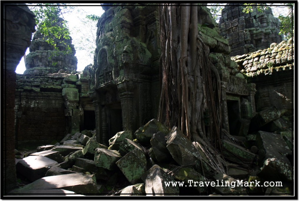 Photo: Ta Prohm, The Collapsed Temple of Angkor