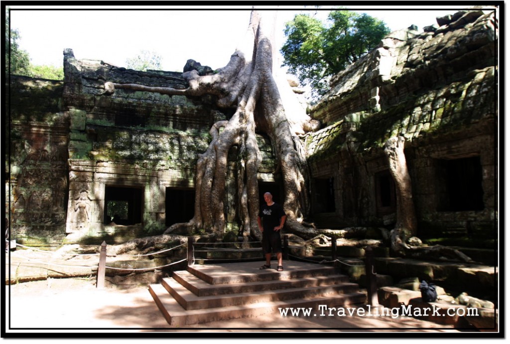 Photo: Strong Cambodian Sun Causing Harsh Contrasts at Ta Prohm