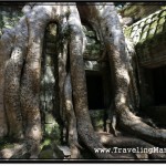 Photo: Famous Blind Door Spot at Ta Prohm, Angkor