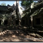 Photo: Famous Huge Tree Roots Picture Spot at Ta Prohm Temple, Angkor