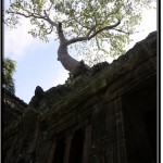 Photo: Rear Side View of the Famous Roots Over Blind Door Photo Op at Ta Prohm