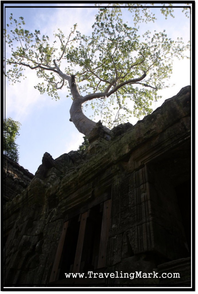 Photo: Rear Side View of the Famous Roots Over Blind Door Photo Op at Ta Prohm