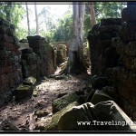 Photo: Much of Ta Prohm is in a Great State of Ruin