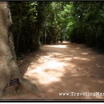 Photo: Passage Behind Main Entrance to Ta Prohm Surrounded by Jungle