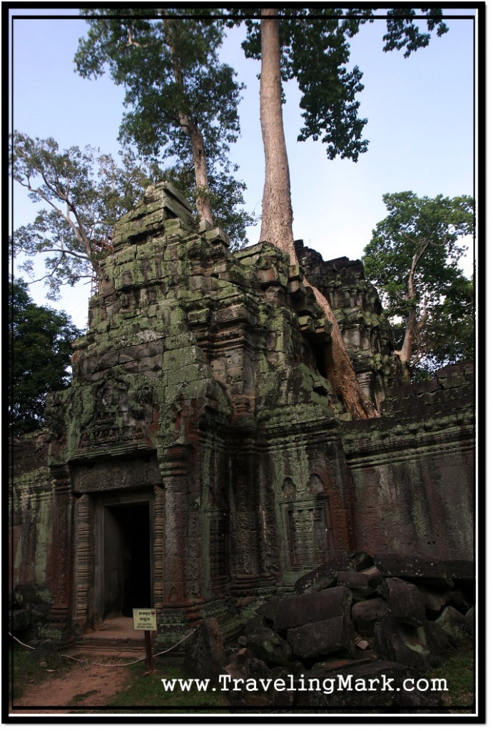 Photo: Ta Prohm, the Mating Place Between Ancient Structures and Huge Trees